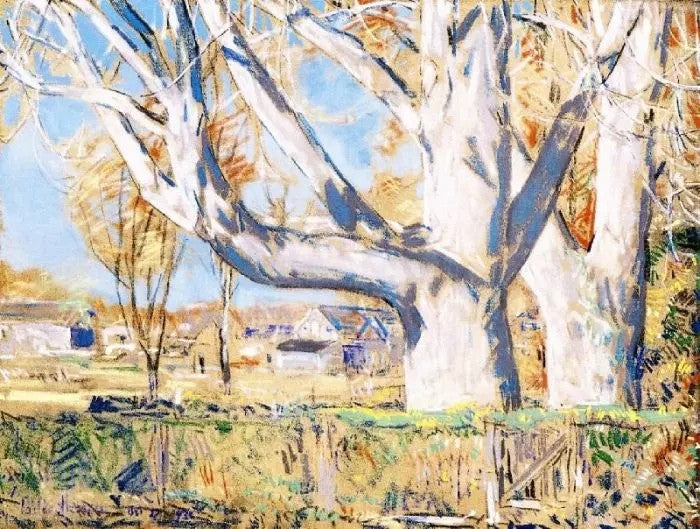 THE GIANT AILANTHUS, OCTOBER