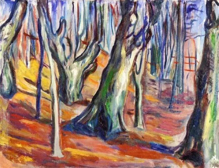 ELM FOREST IN SPRING