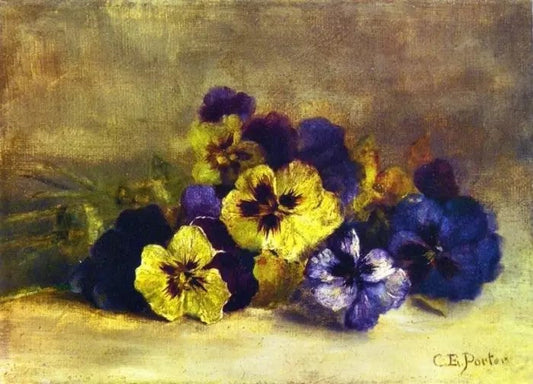 PANSIES