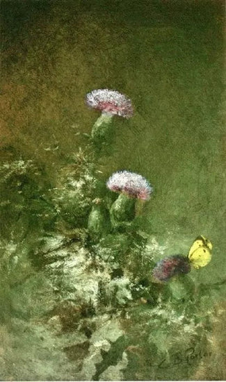 THISTLES WITH BUTTERFLY