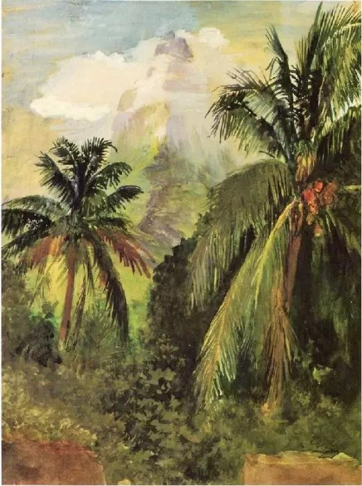 EARLY MORNING, UPONOHU, LOOKING SOUTH TOWARDS PEAK OF MAUA ROA, FROM OUR HIUSE, GARDEN WALL IN FRONT