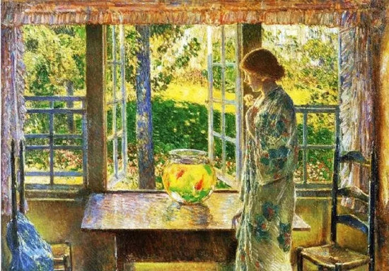 THE GOLDFISH WINDOW