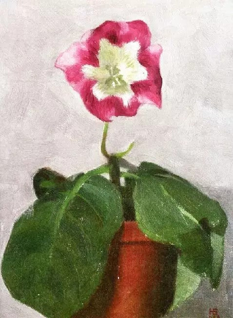 GLOXINIA