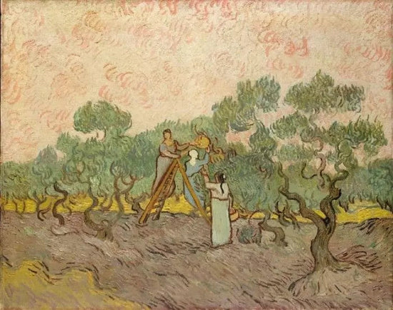 WOMEN PICKING OLIVES