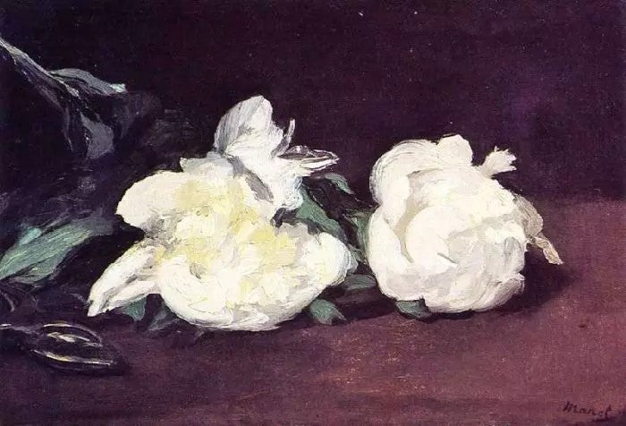 BRANCH OF WHITE PEONIES, WITH PRUNING SHEARS