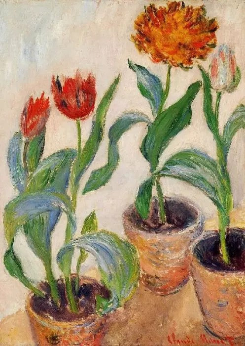 THREE POTS OF TULIPS