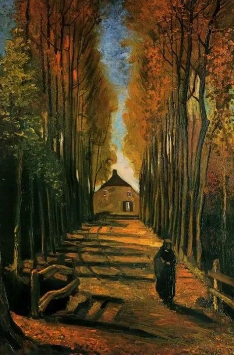 AVENUE OF POPLARS AT SUNSET