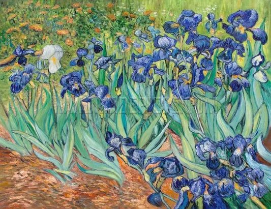 IRISES