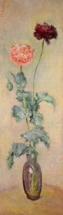 RED AND PINK POPPIES