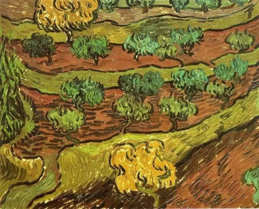 OLIVE TREES AGAINST A SLOPE OF A HILL