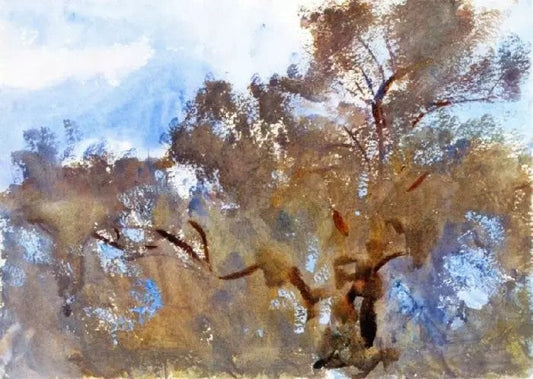 TREETOPS AGAINST SKY