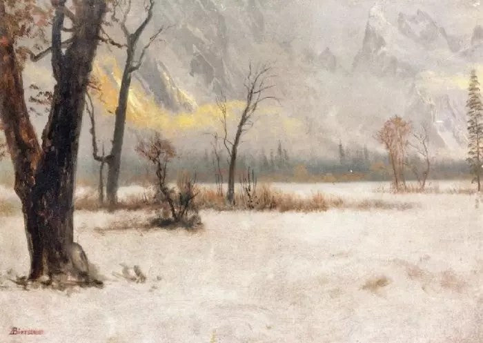 WINTER LANDSCAPE