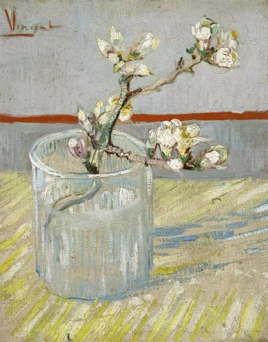 BLOSSOMING ALMOND BRANCH IN A GLASS