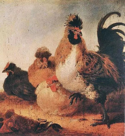 ROOSTER WITH HENS