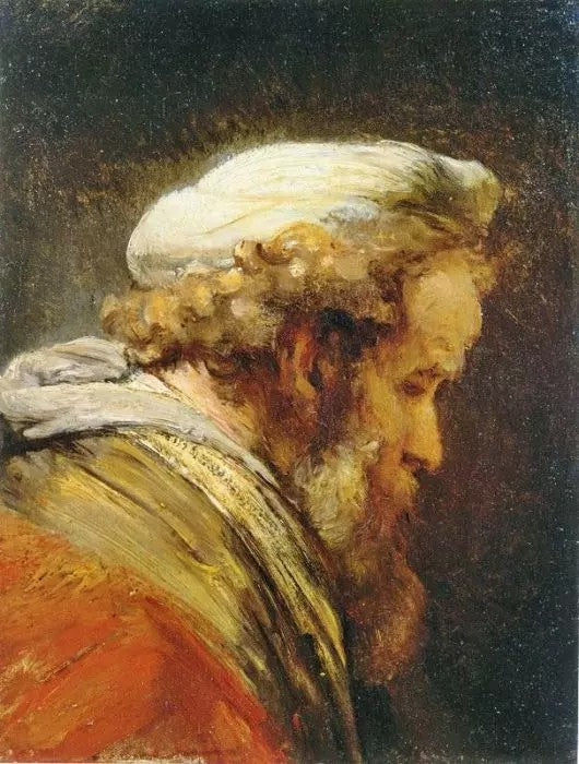 STUDY OF AN OLD MAN