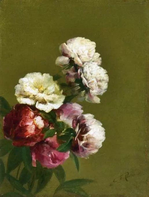 PEONIES IN A BOWL