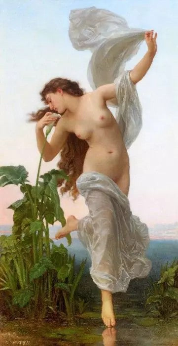 TIMES OF THE DAY 1 - AURORA (DAWN)