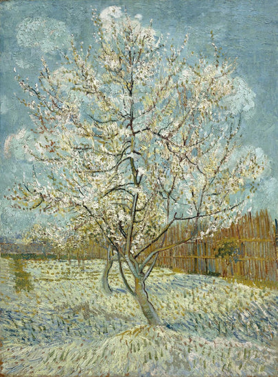 Peach Trees In Blossom, 1888 by Vincent van Gogh