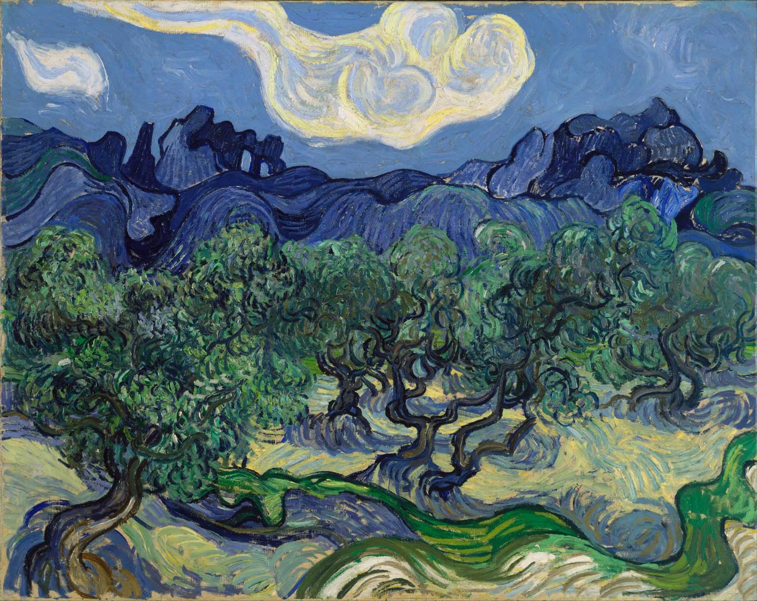 The Alpilles With Olive Trees In The Foreground by Vincent van Gogh
