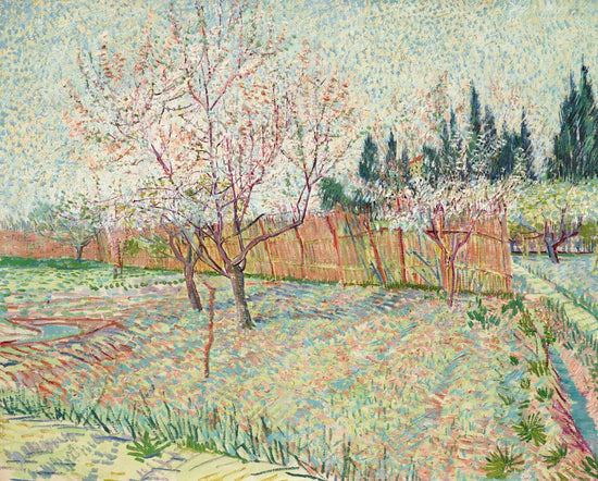 Orchard With Peach Trees In Blossom by Vincent van Gogh