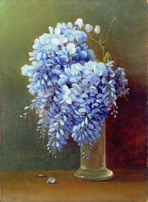 A BOUQUET OF WISTERIA